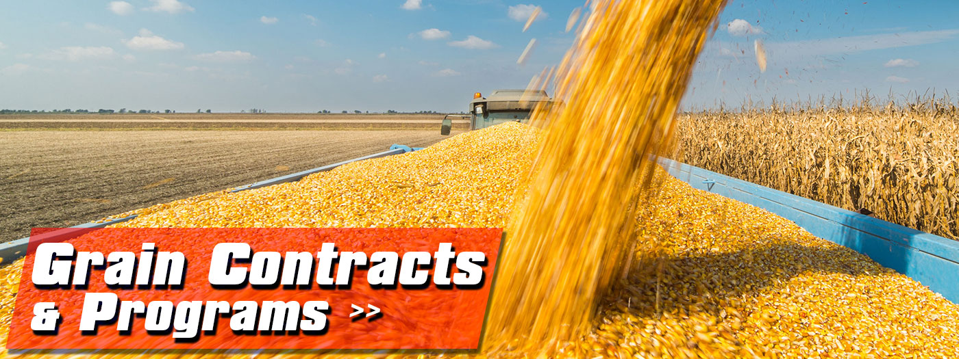 Grain-Contracts-Programs